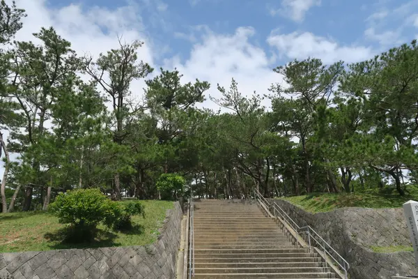座喜味城跡の写真・動画_image_422698