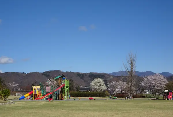 南部総合公園の写真・動画_image_422741