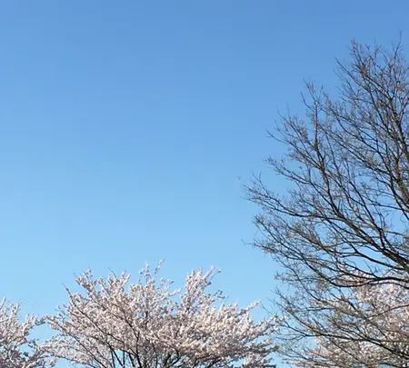 南部総合公園の写真・動画_image_422742