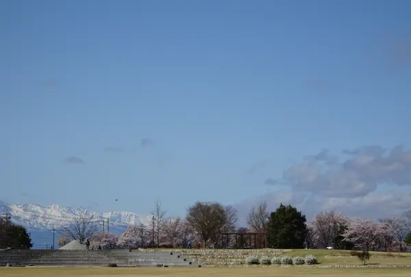 南部総合公園の写真・動画_image_422743