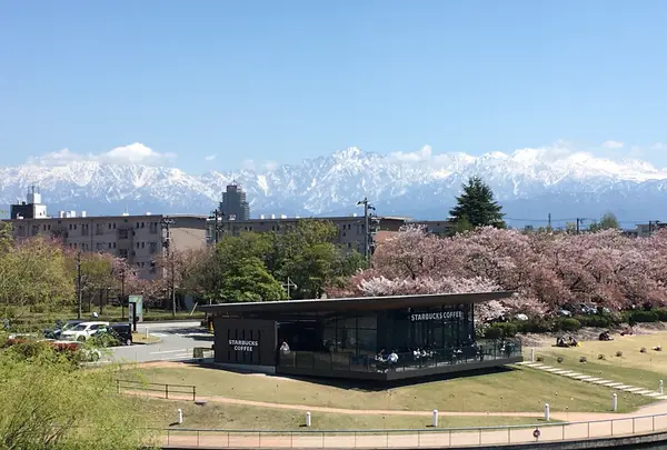 スターバックスコーヒー 富山環水公園店（STARBUCKS COFFEE）の写真・動画_image_422760