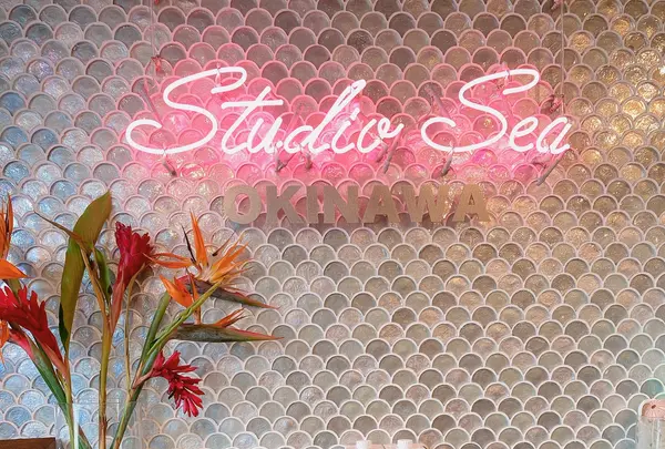 スタジオ シー okinawaの写真・動画_image_422810