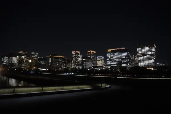 皇居の写真・動画_image_423235