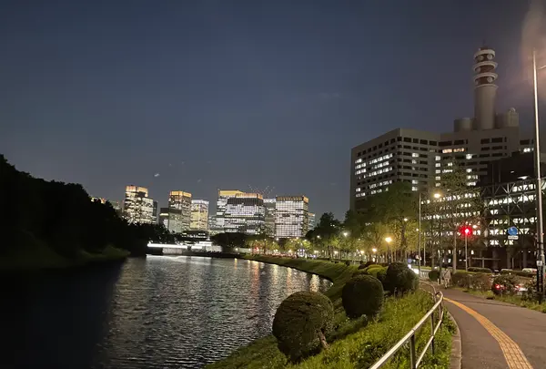 皇居の写真・動画_image_423236