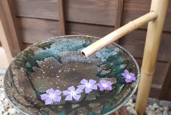 京都けやき堂の写真・動画_image_423348