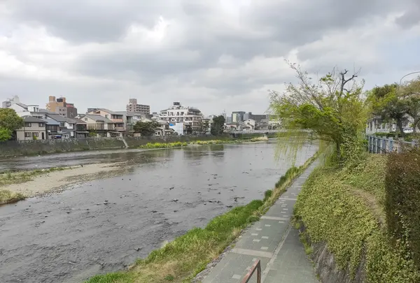 鴨川の写真・動画_image_423353
