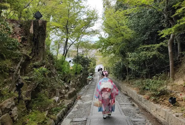 高台寺の写真・動画_image_423608