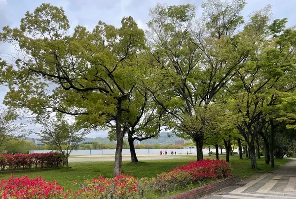 広島市中央公園の写真・動画_image_423687