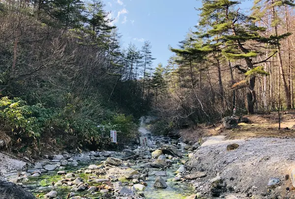西の河原公園の写真・動画_image_423717