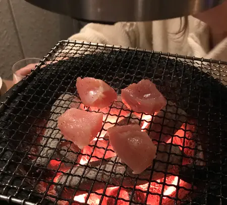 炭火焼く鳥　ソリレスの写真・動画_image_423769