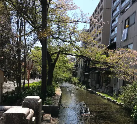 和栗専門 紗織～さをり～の写真・動画_image_423779