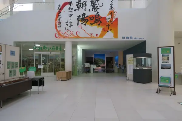 沖縄県立博物館・美術館の写真・動画_image_423893