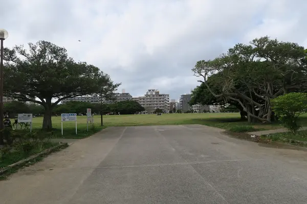 新都心公園の写真・動画_image_423897