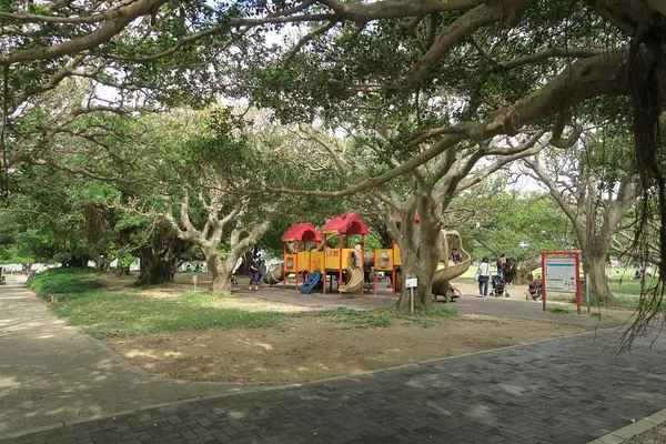 新都心公園の写真・動画_image_423898