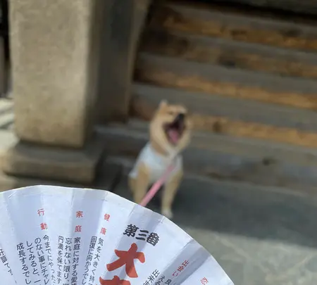 智恩寺の写真・動画_image_423982