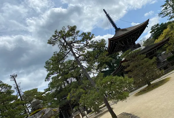 智恩寺の写真・動画_image_423983