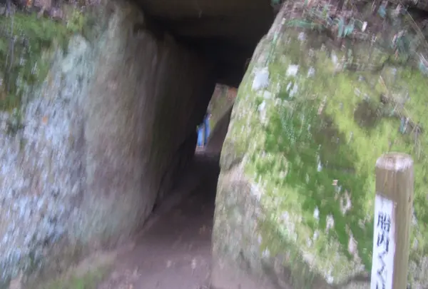 笠置寺の写真・動画_image_424129