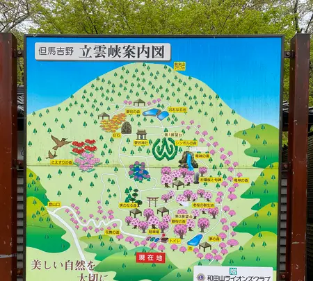 立雲峡の写真・動画_image_424157