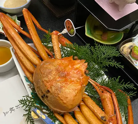 朝野家の写真・動画_image_424159