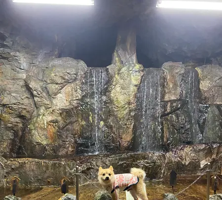 生野銀山の写真・動画_image_424372