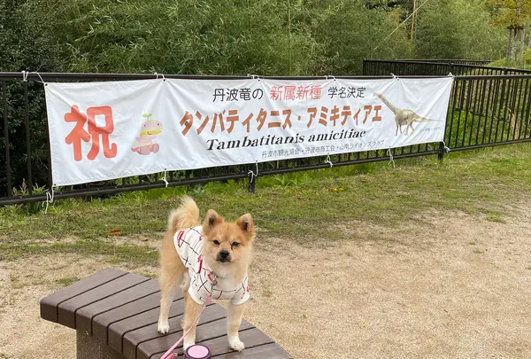 丹波恐竜公園の写真・動画_image_424373