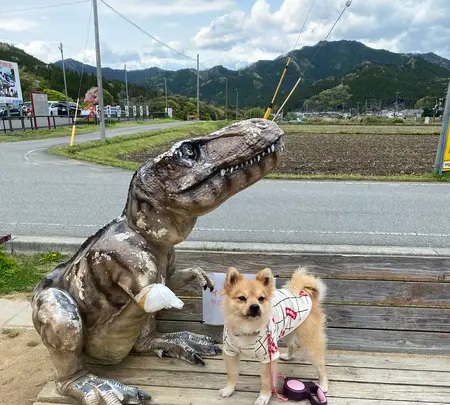 丹波恐竜公園の写真・動画_image_424374