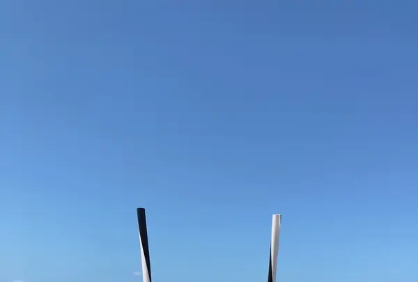 Sunstache Coffee ,Bayの写真・動画_image_424382