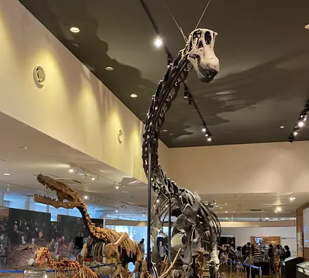 丹波竜化石工房ちーたんの館の写真・動画_image_424389