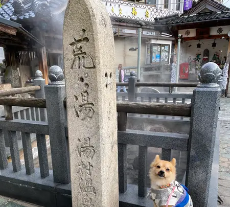 （株）荒湯観光センターの写真・動画_image_424394