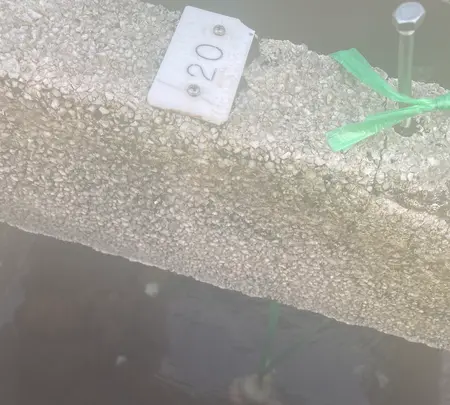 （株）荒湯観光センターの写真・動画_image_424397