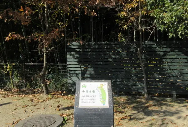 城陽市総合運動公園の写真・動画_image_424734