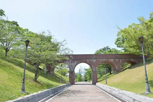 藤山健康文化公園の写真・動画_image_424742