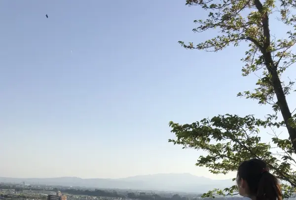 愛宕神社の写真・動画_image_424770