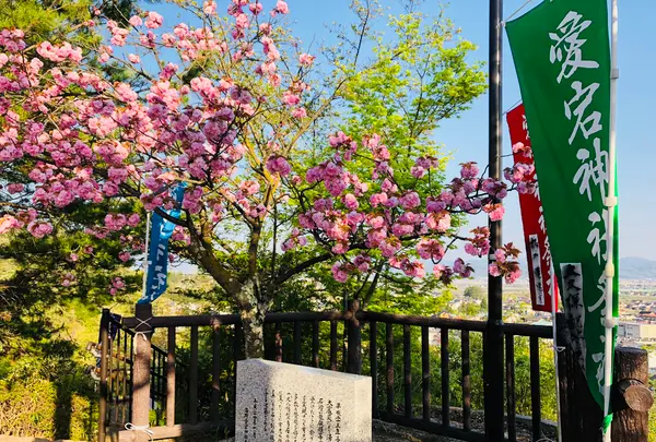 愛宕神社の写真・動画_image_424772