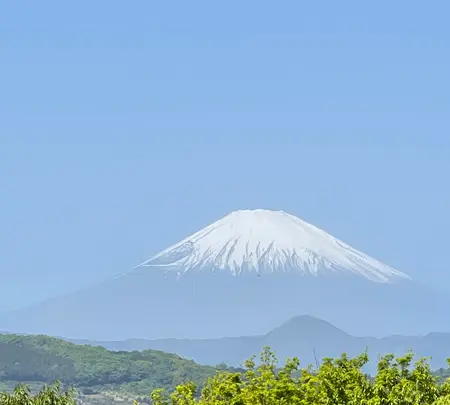 吾妻山公園展望台の写真・動画_image_424880