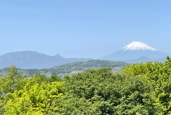 吾妻山公園展望台の写真・動画_image_424881