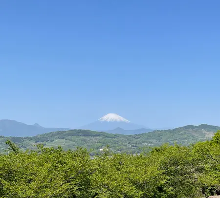 吾妻山公園展望台の写真・動画_image_424882