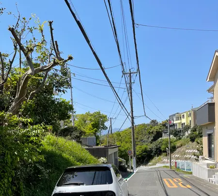 茶屋旧道路傍の道祖神の写真・動画_image_424895