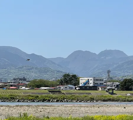 酒匂川の渡しの碑の写真・動画_image_424899
