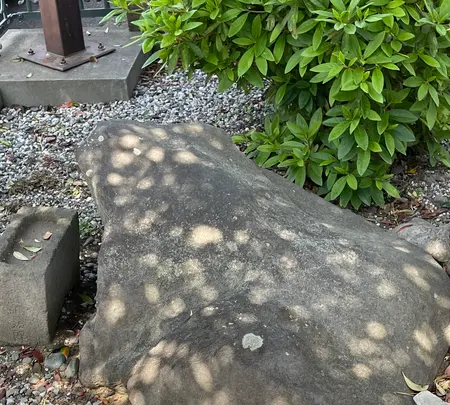 北條稲荷神社の写真・動画_image_424917