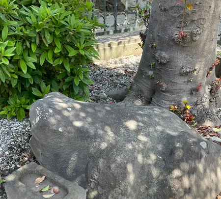 北條稲荷神社の写真・動画_image_424920
