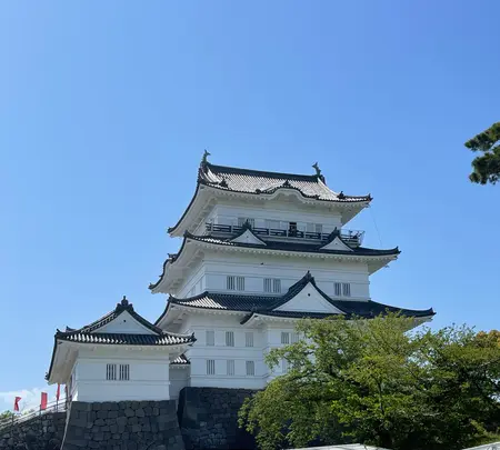 小田原城の写真・動画_image_424924