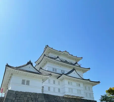 小田原城の写真・動画_image_424926