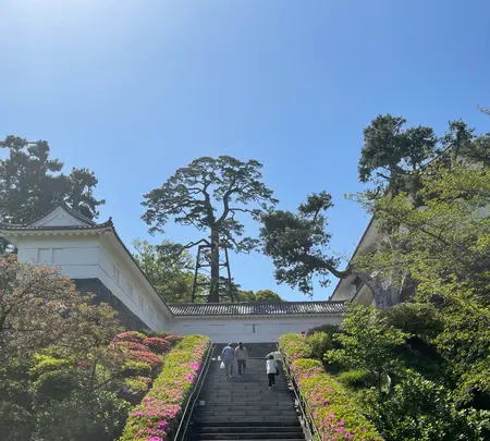 小田原城の写真・動画_image_424935