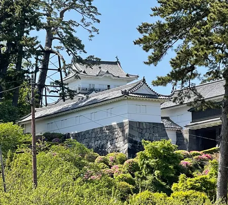 小田原城の写真・動画_image_424936