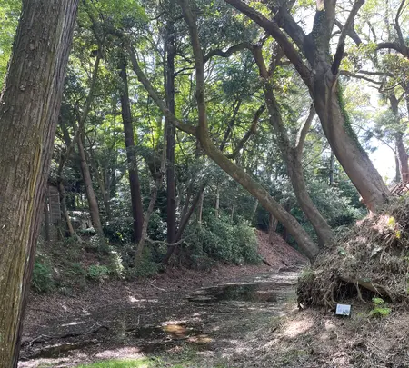 報徳二宮神社の写真・動画_image_424944