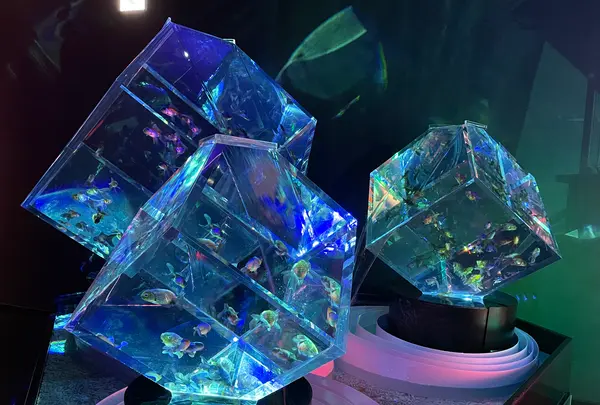 アートアクアリウム美術館の写真・動画_image_425074