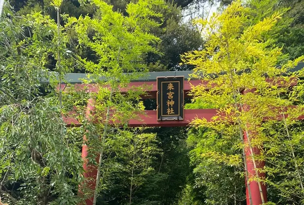 來宮神社の写真・動画_image_425310