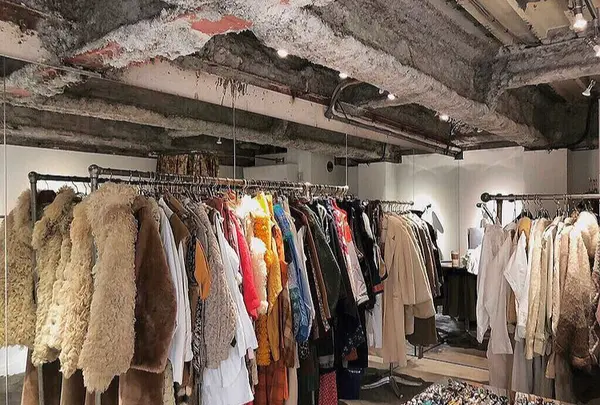 EWERの写真・動画_image_425390