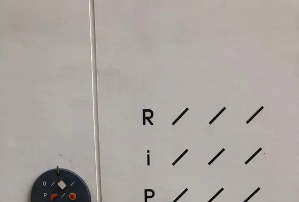 RiPiの写真・動画_image_425587